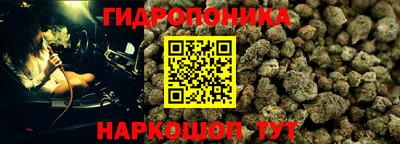 ешки Гай