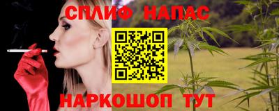 ешки Гай