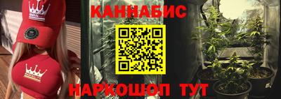 ешки Гай