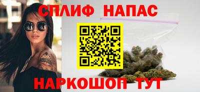 ешки Гай