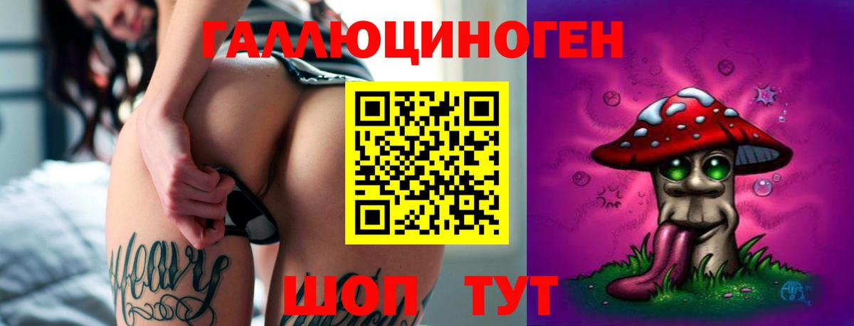 Галлюциногенные грибы Psilocybe Гулькевичи